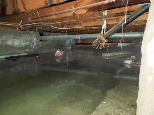 Fire Damage Restoration in Spanish Springs, NV