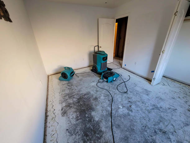 Best Carpet water damage restoration  in Spanish Springs, NV