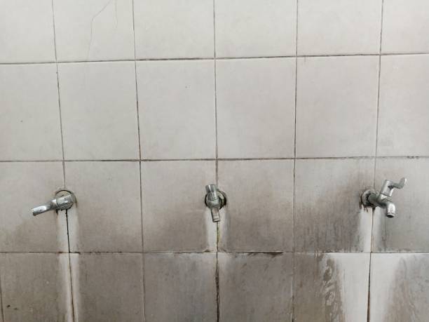 Best Flooded house restoration  in Spanish Springs, NV